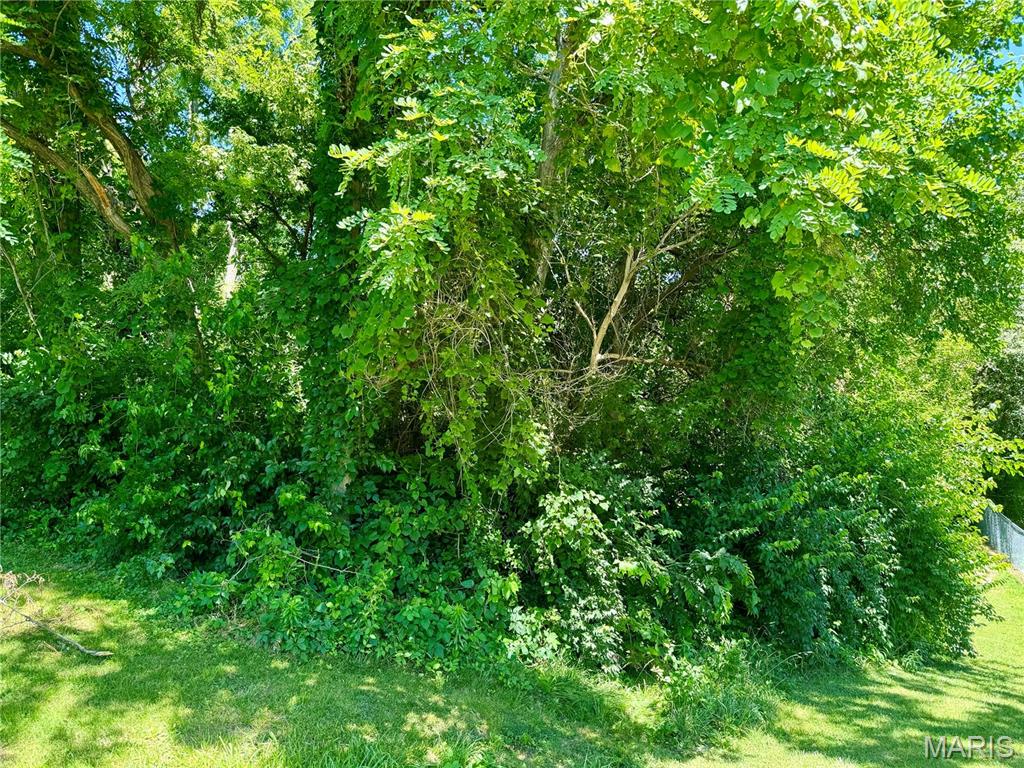 0 State Route 159 South Glen Carbon, IL 62034 - Photo 4 of 4