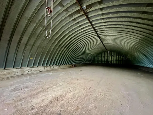 a big yard with lots of green space