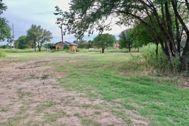 a view of a trees with a big yard