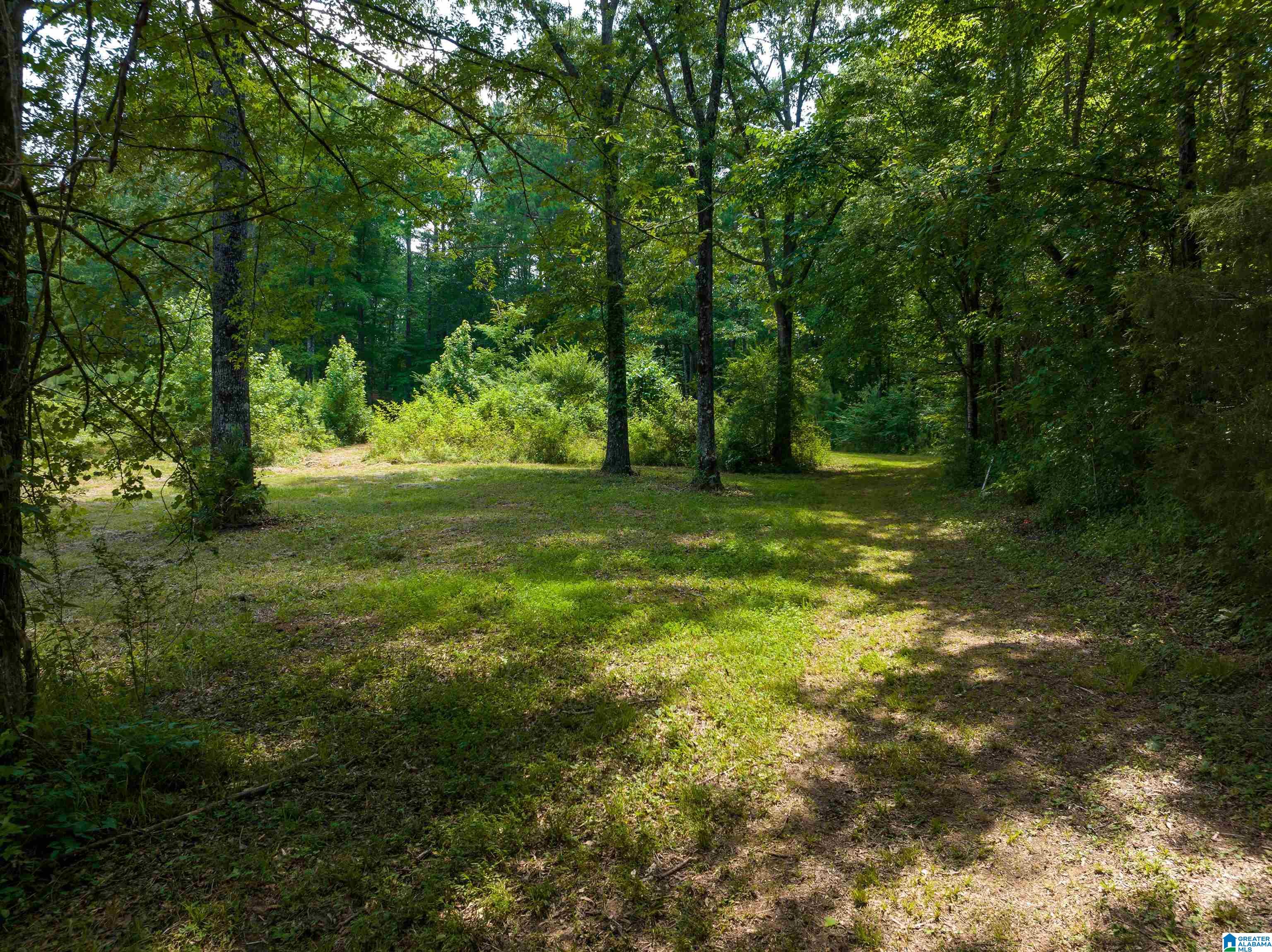 433 Yorkshire Road Columbiana, AL 35051 - Photo 48 of 50