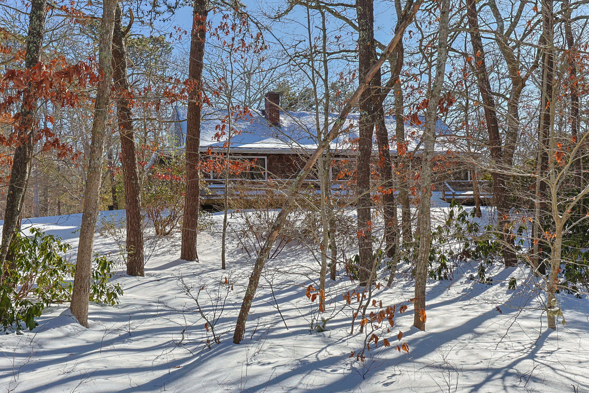 58 Aunt Molls Ridge Brewster, MA 02631 - Photo 4 of 53 1-web-or-mls-58-aunt-molls-ridge