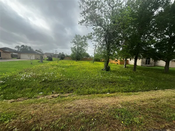 a view of a big yard with large trees