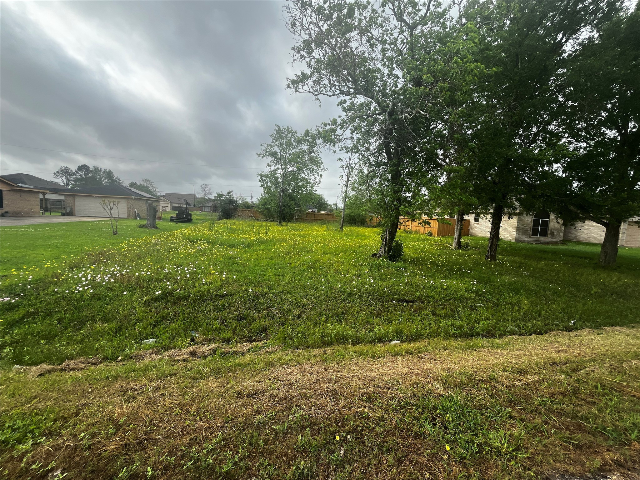 a view of a big yard with large trees