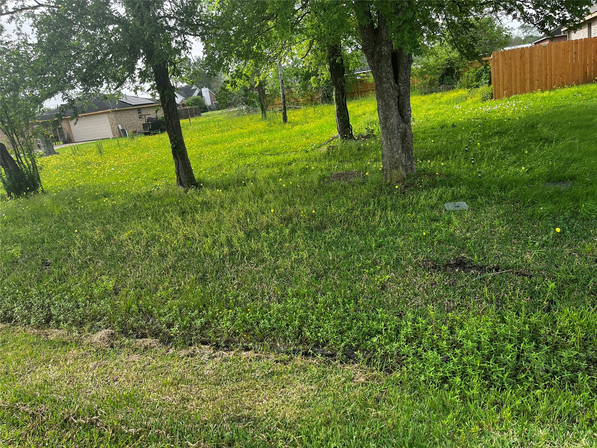 302 Manor Avenue Arcola, TX 77583 - Photo 3 of 6 a view of a yard with a tree