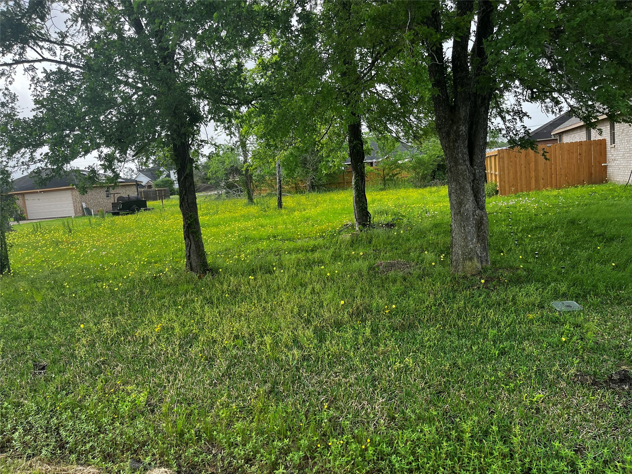 302 Manor Avenue Arcola, TX 77583 - Photo 4 of 6 a view of a tree in a yard
