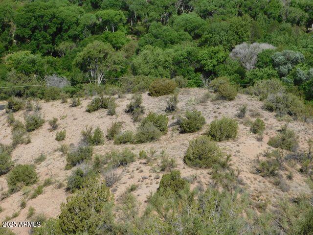 3 North Page Springs Road Sedona, AZ 86336 - Photo 5 of 12 a view of a forest with trees in the background