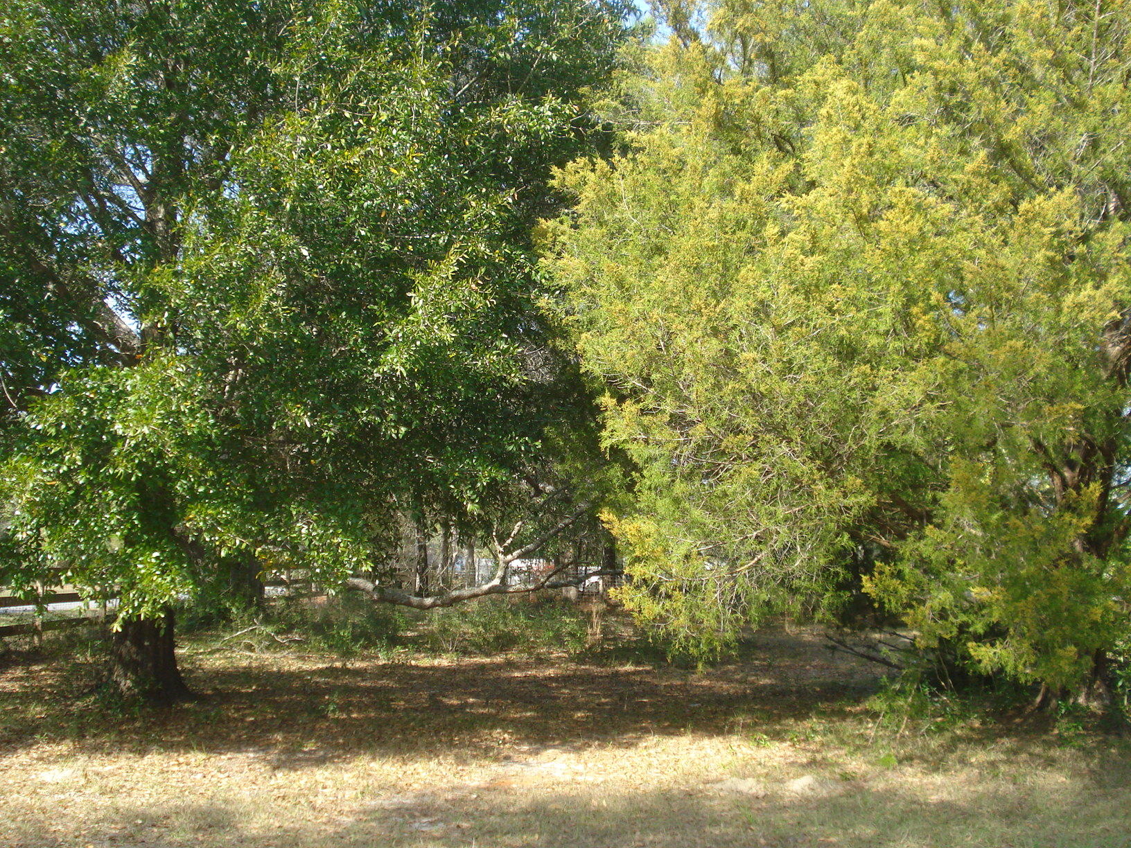 5629 Buckward Road Baker, FL 32531 - Photo 16 of 20