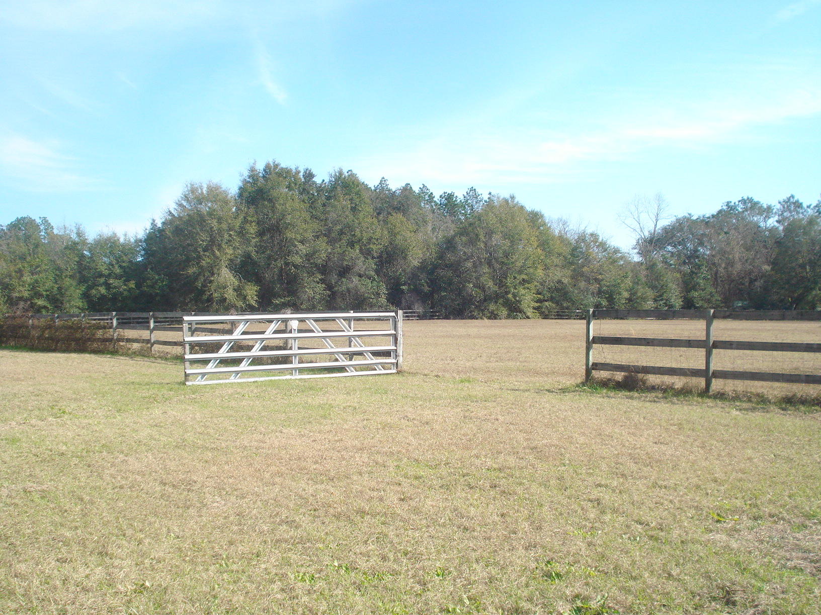 5629 Buckward Road Baker, FL 32531 - Photo 17 of 20 a view of a swimming pool with an outdoor space