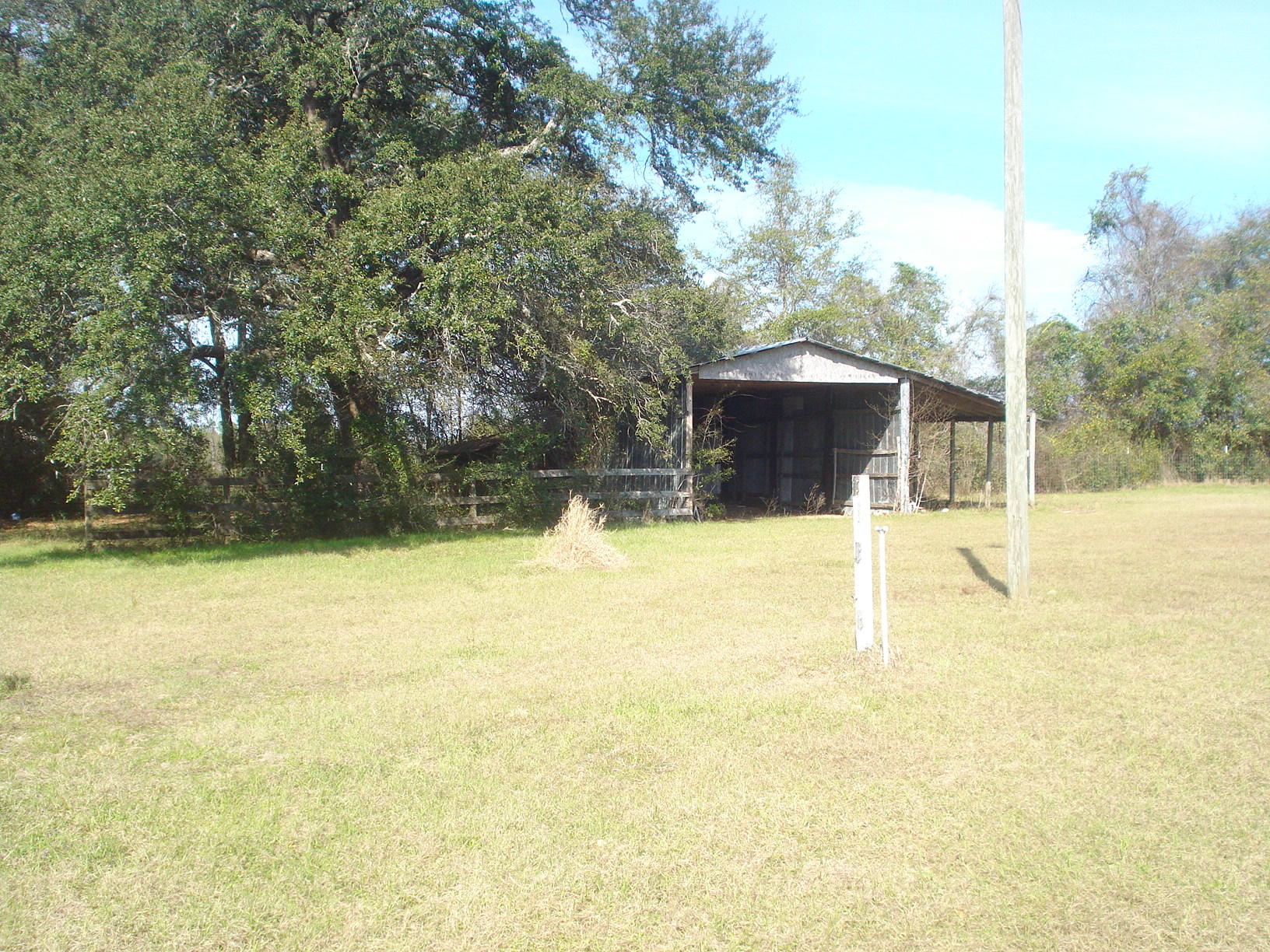 5629 Buckward Road Baker, FL 32531 - Photo 18 of 20 a swimming pool with trees in front of it