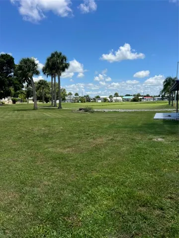 a view of a trees in a park