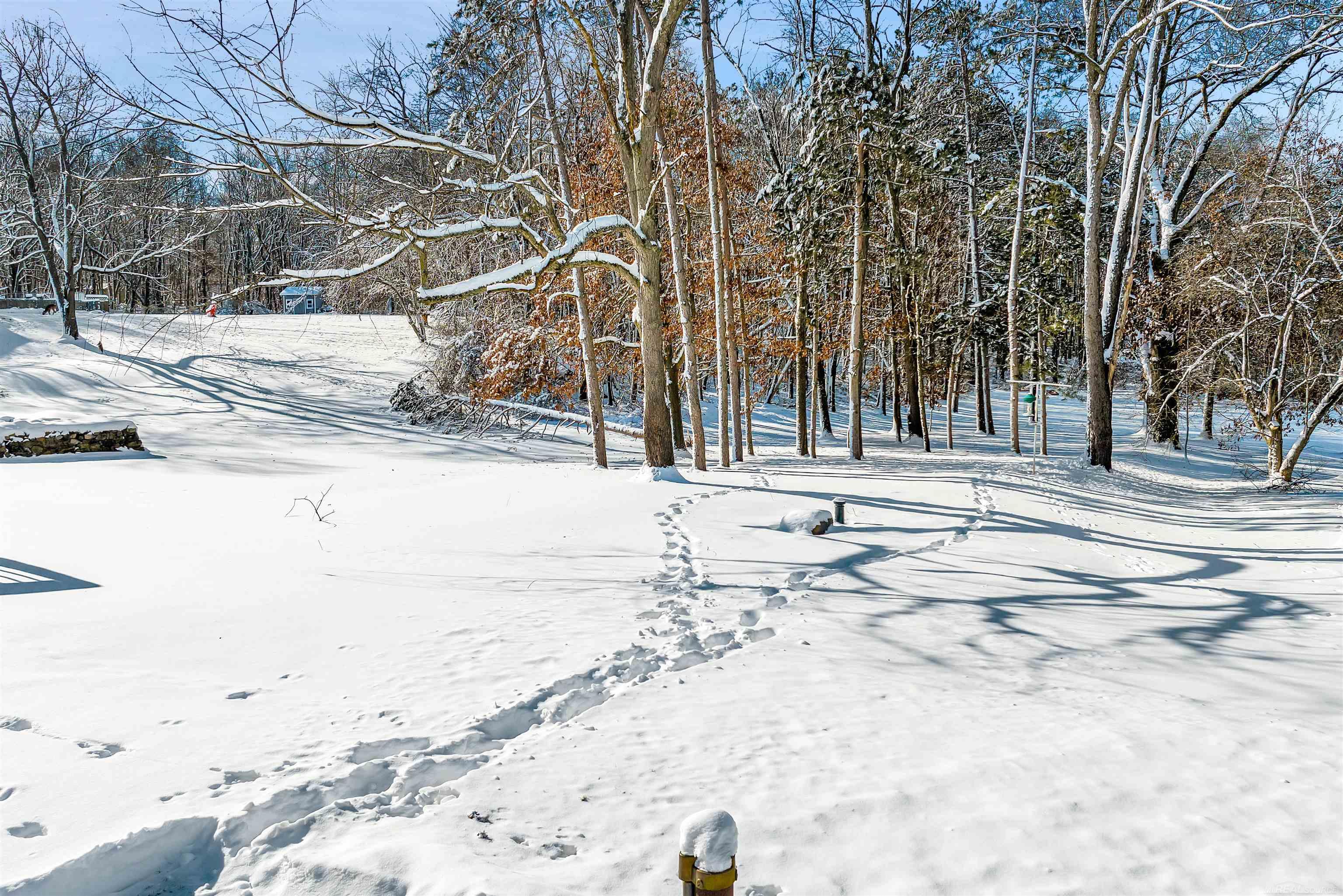 8665 Tindall Road Davisburg, MI 48350 - Photo 29 of 43 50131720-6c66c4e8-09c3-4b60-80d6-61135b077c0b.JPG