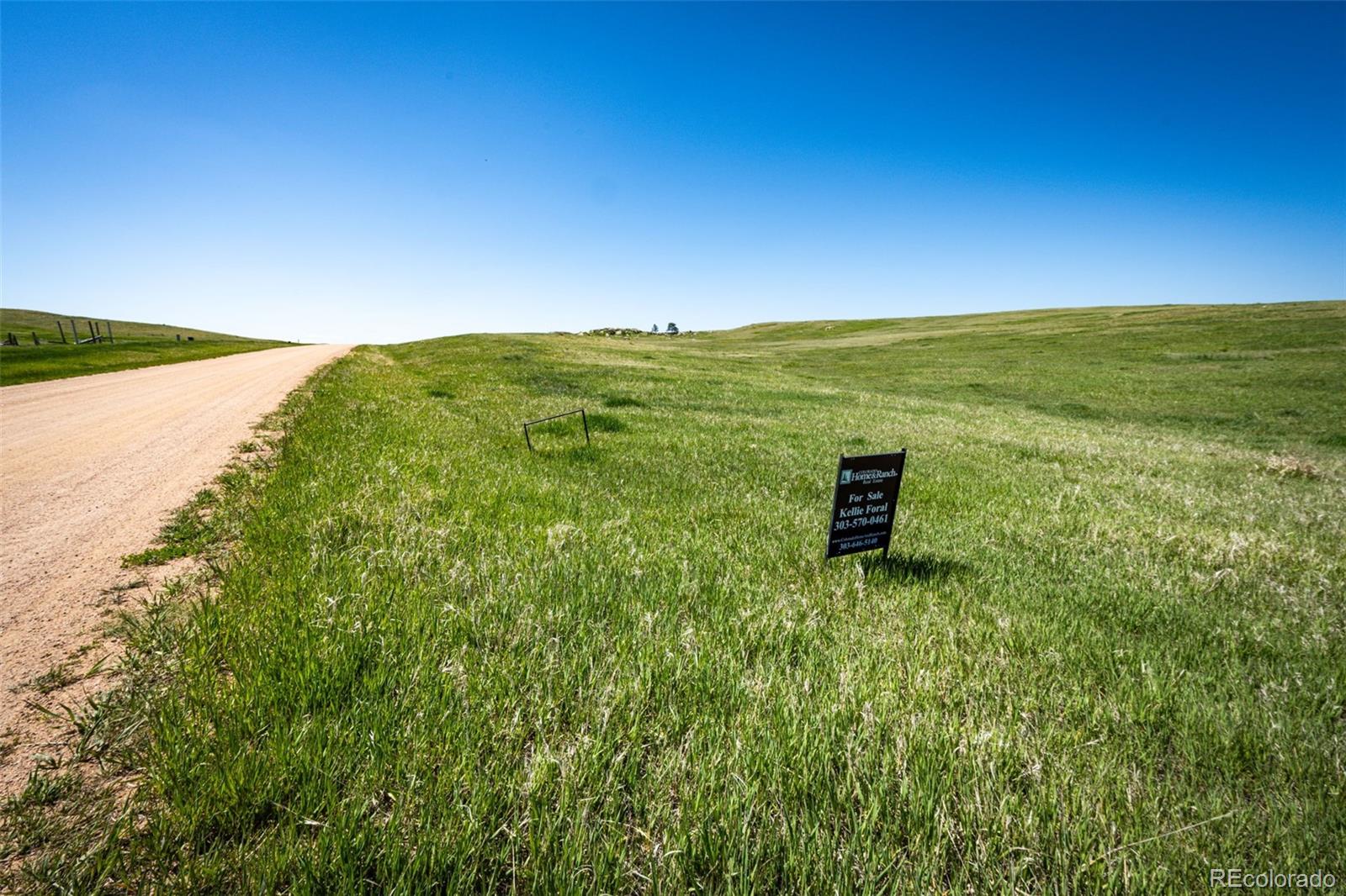 2555 Rustlers Canyon Loop Elizabeth, CO 80107 - Photo 2 of 9