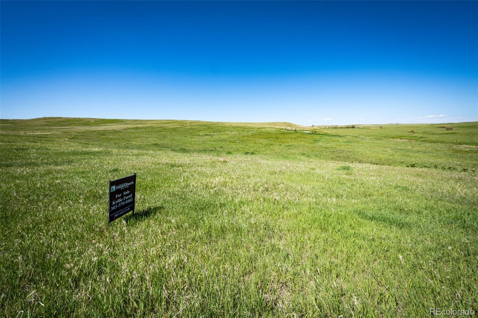 2555 Rustlers Canyon Loop Elizabeth, CO 80107 - Photo 4 of 9