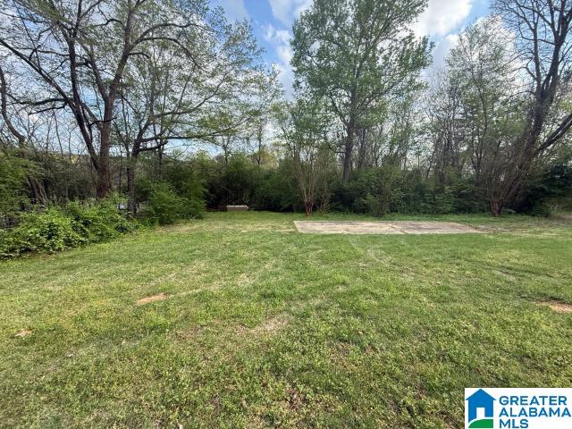 6445 Bogue Road Pinson, AL 35126 - Photo 19 of 20