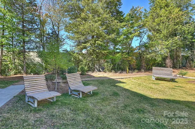 a view of a park with large trees