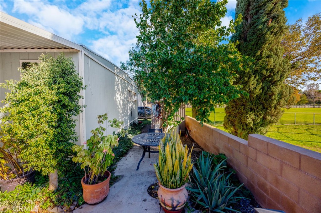 a backyard with potted plants and large tree