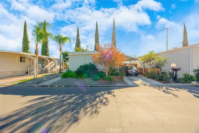 a view of a street with palm trees