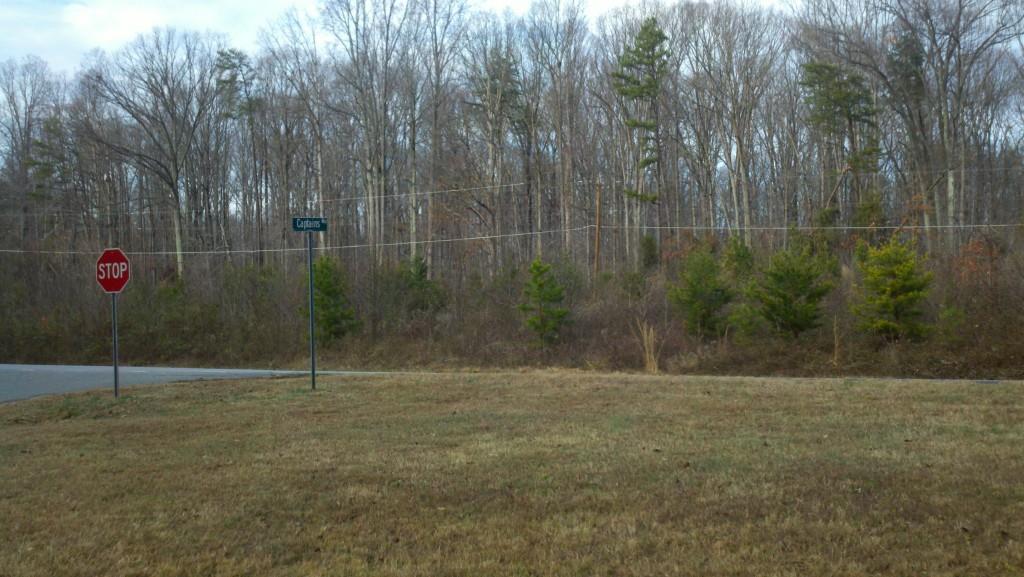 Lot 2 Graham Road Denver, NC 28037 - Photo 1 of 1 Gallery Image 1