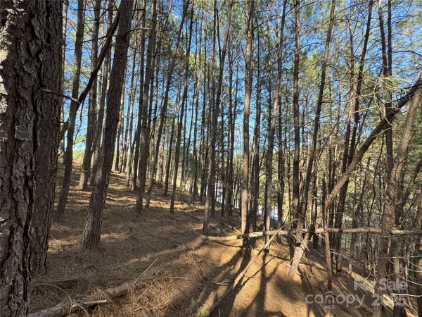$25,000 | 5582 Bridgewater Drive, Granite Falls, NC 28630
