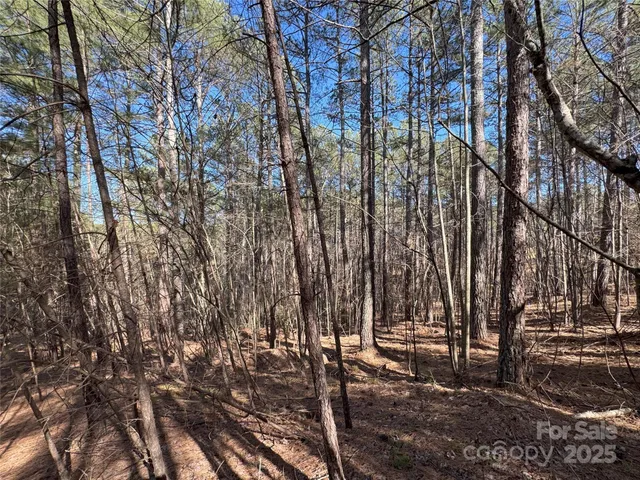 $30,000 | 5582 Bridgewater Drive, Granite Falls, NC 28630