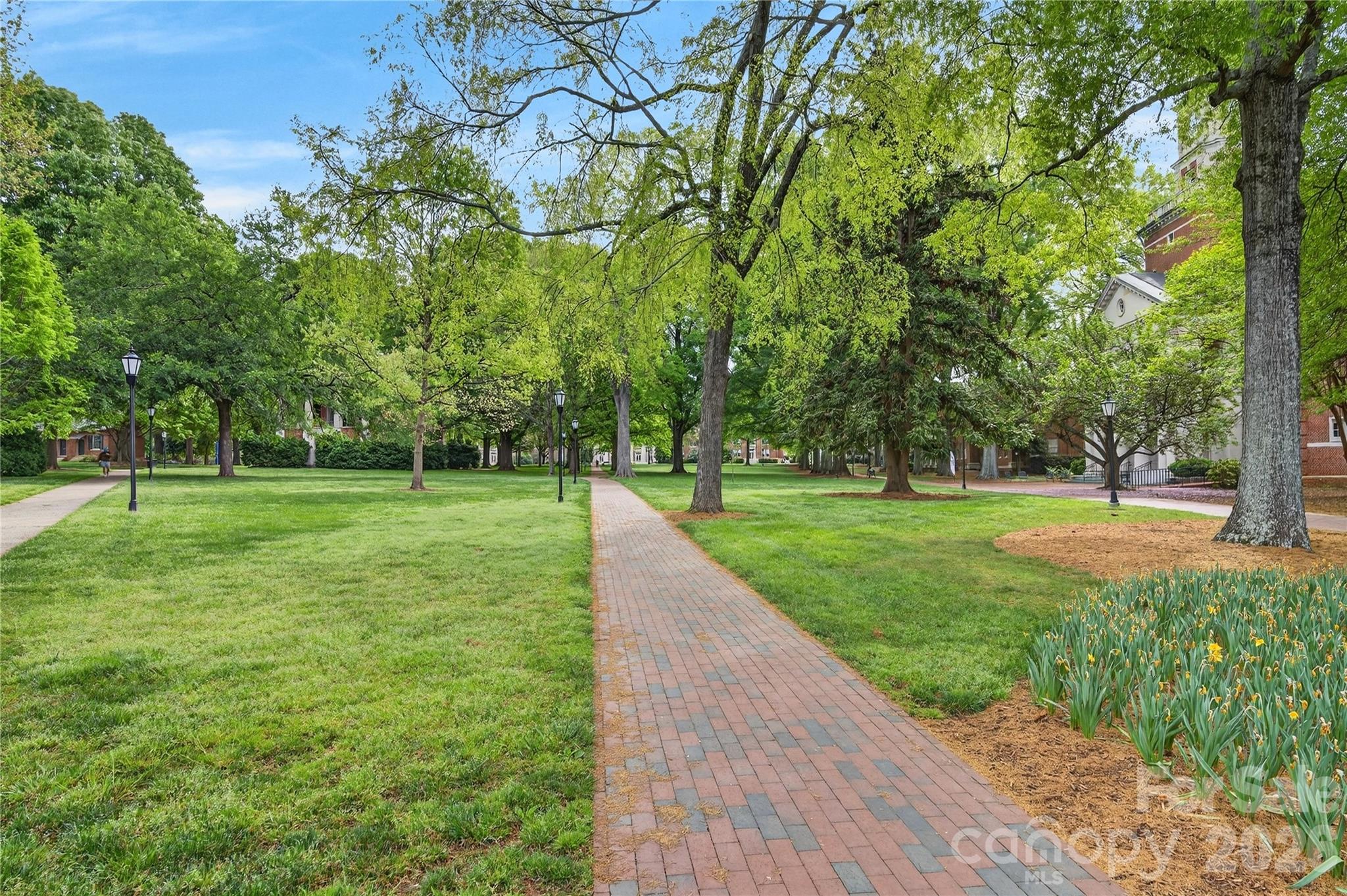 489 South Main Street Davidson, NC 28036 - Photo 42 of 43 a huge green field with lots of trees