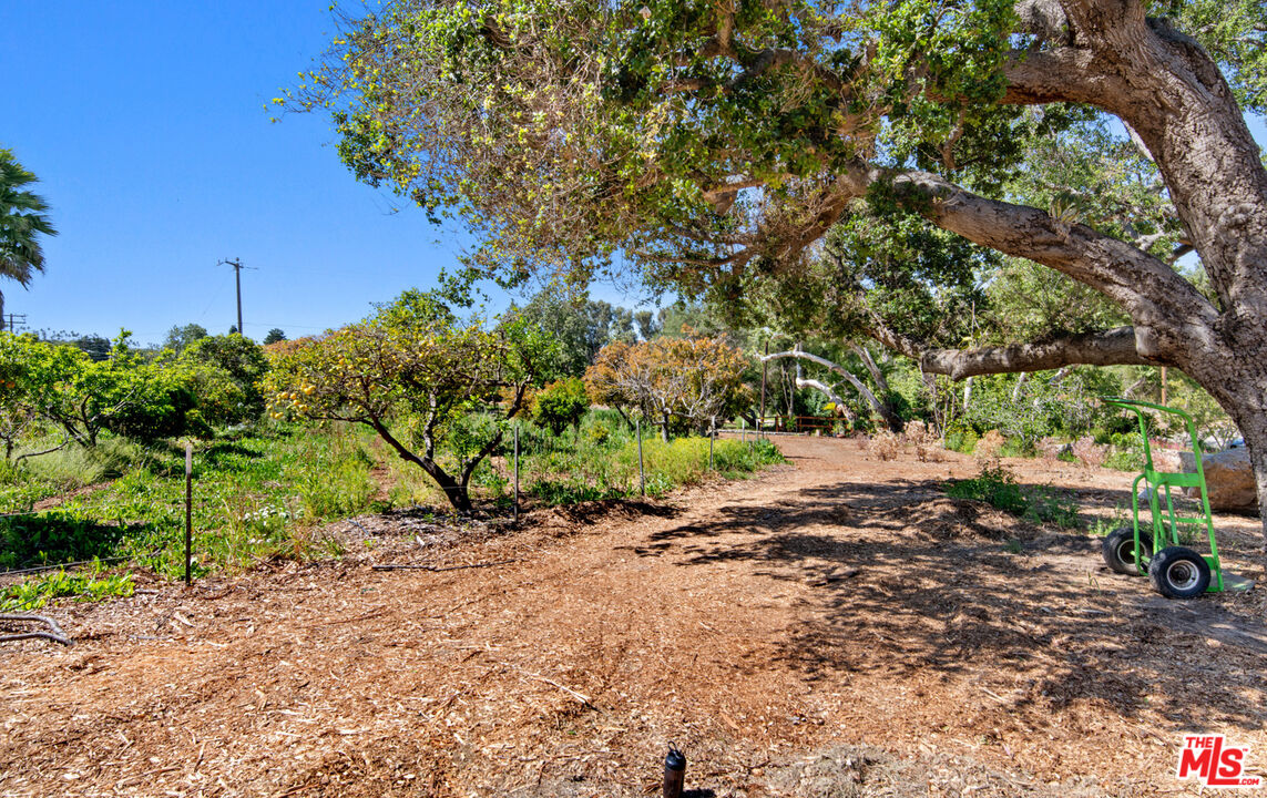 6009 Bonsall Drive Malibu, CA 90265 - Photo 22 of 49 a big yard with lots of green space