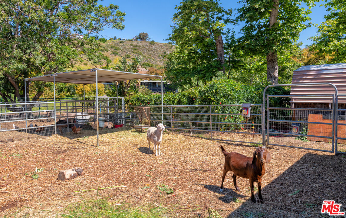 6009 Bonsall Drive Malibu, CA 90265 - Photo 32 of 49 a view of a backyard with a patio and wooden fence