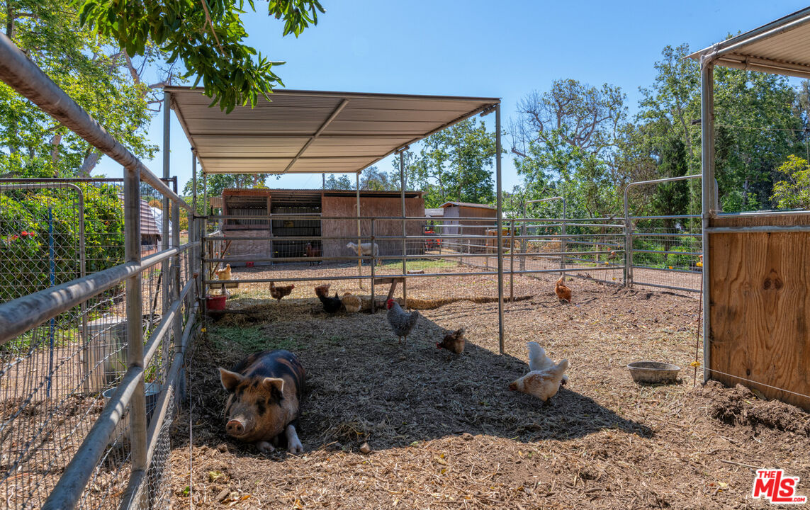 6009 Bonsall Drive Malibu, CA 90265 - Photo 33 of 49 a view of a backyard with plants and a patio