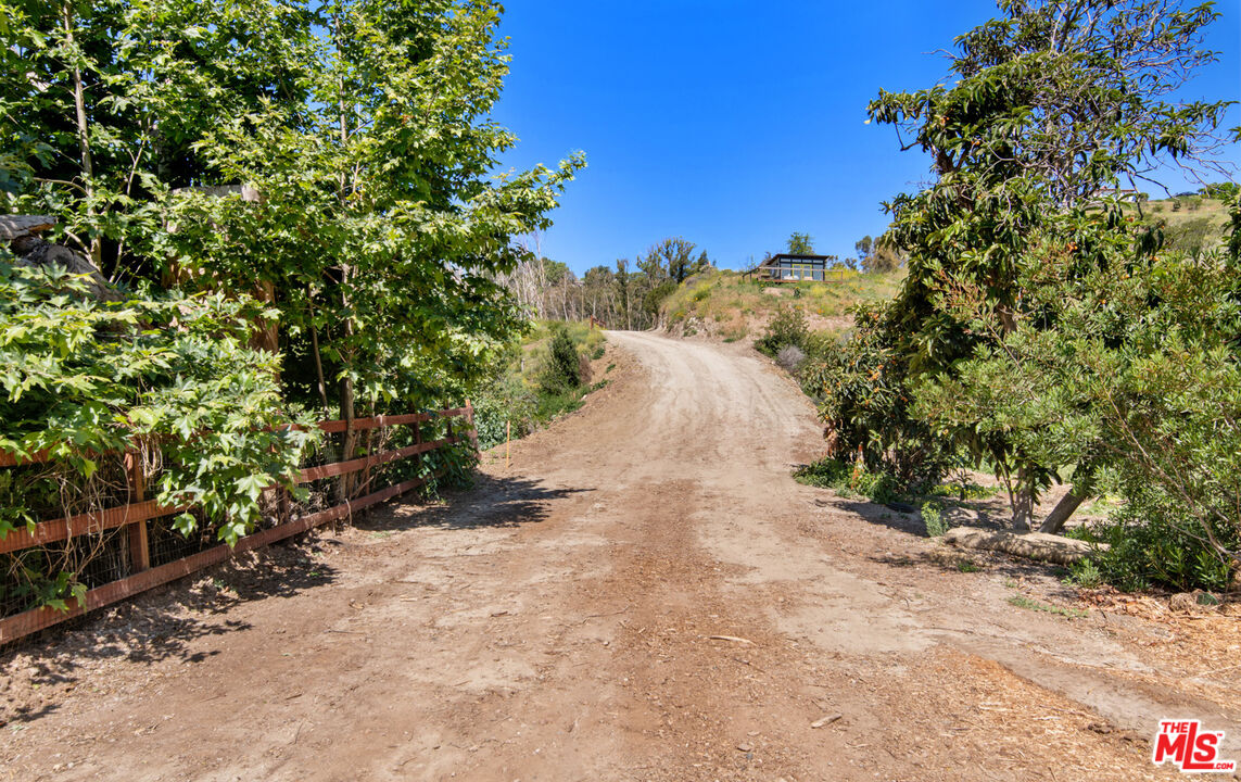6009 Bonsall Drive Malibu, CA 90265 - Photo 47 of 49 a view of a yard with plants and trees