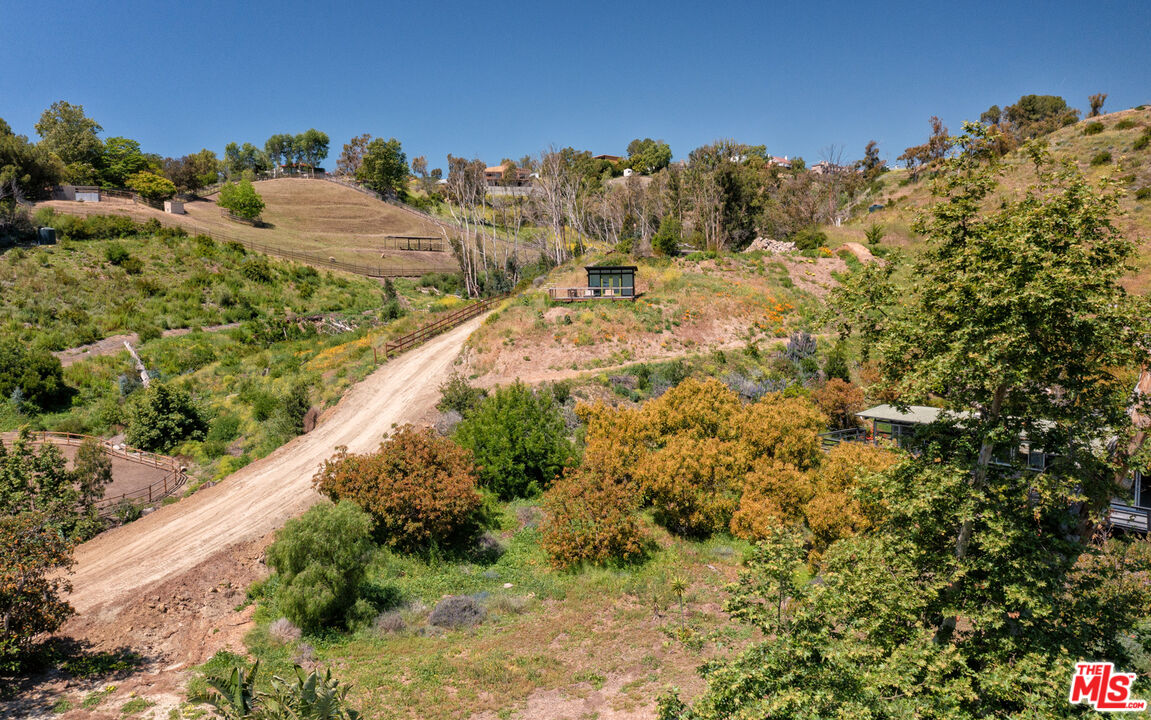 6009 Bonsall Drive Malibu, CA 90265 - Photo 48 of 49 a view of a yard with a tree