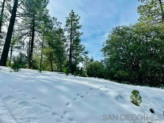 $69,000 | 8 Saunders Meadow Road, Idyllwild, CA 92549