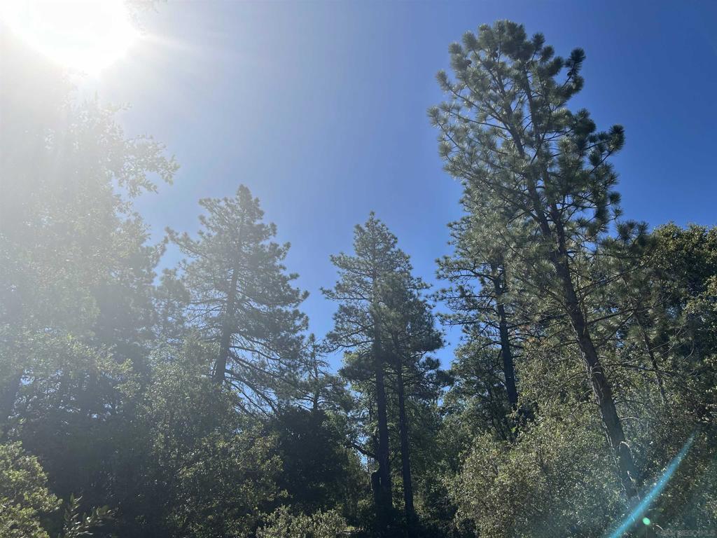 8 Saunders Meadow Road Idyllwild, CA 92549 - Photo 12 of 12