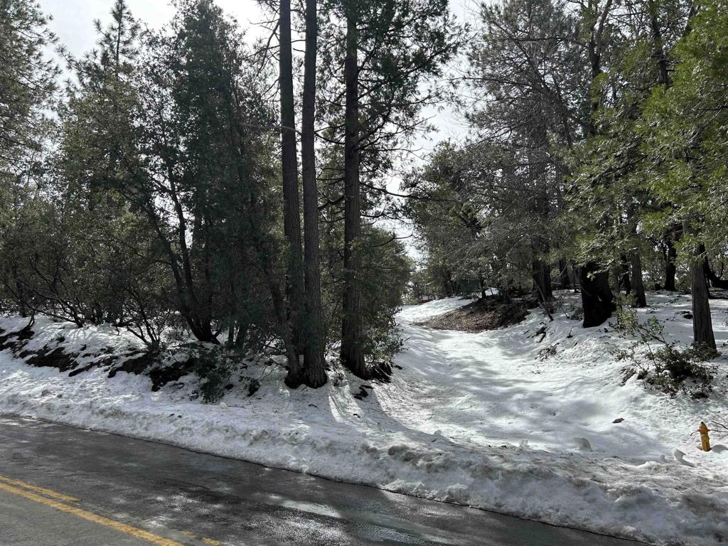 8 Saunders Meadow Road Idyllwild, CA 92549 - Photo 4 of 12