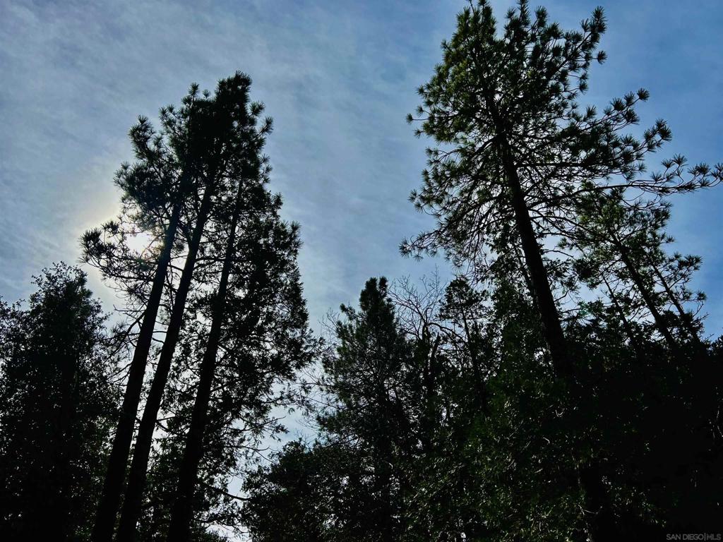 8 Saunders Meadow Road Idyllwild, CA 92549 - Photo 6 of 12