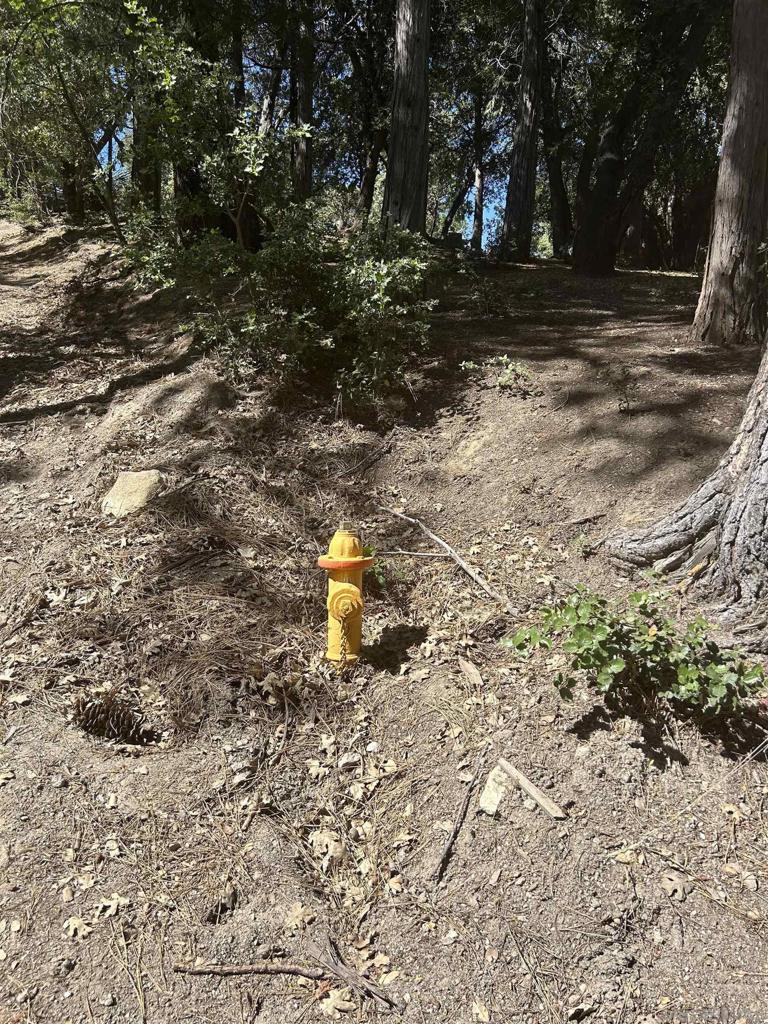 8 Saunders Meadow Road Idyllwild, CA 92549 - Photo 8 of 12