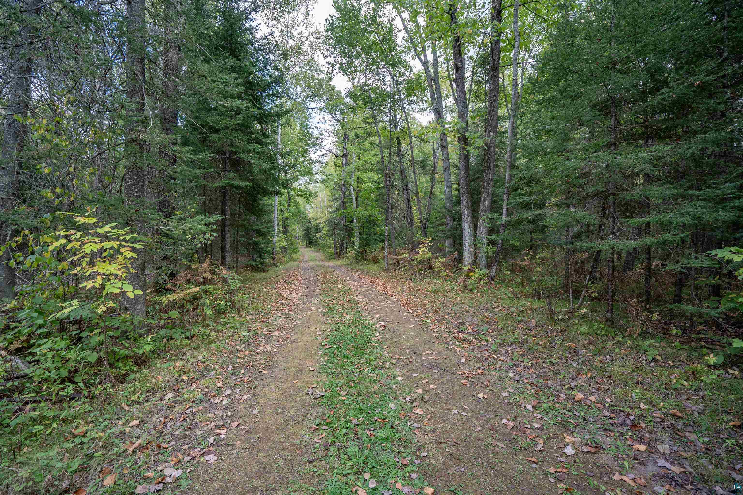 6711 South Jem Lane Lake Nebagamon, WI 54849 - Photo 23 of 28 View of street