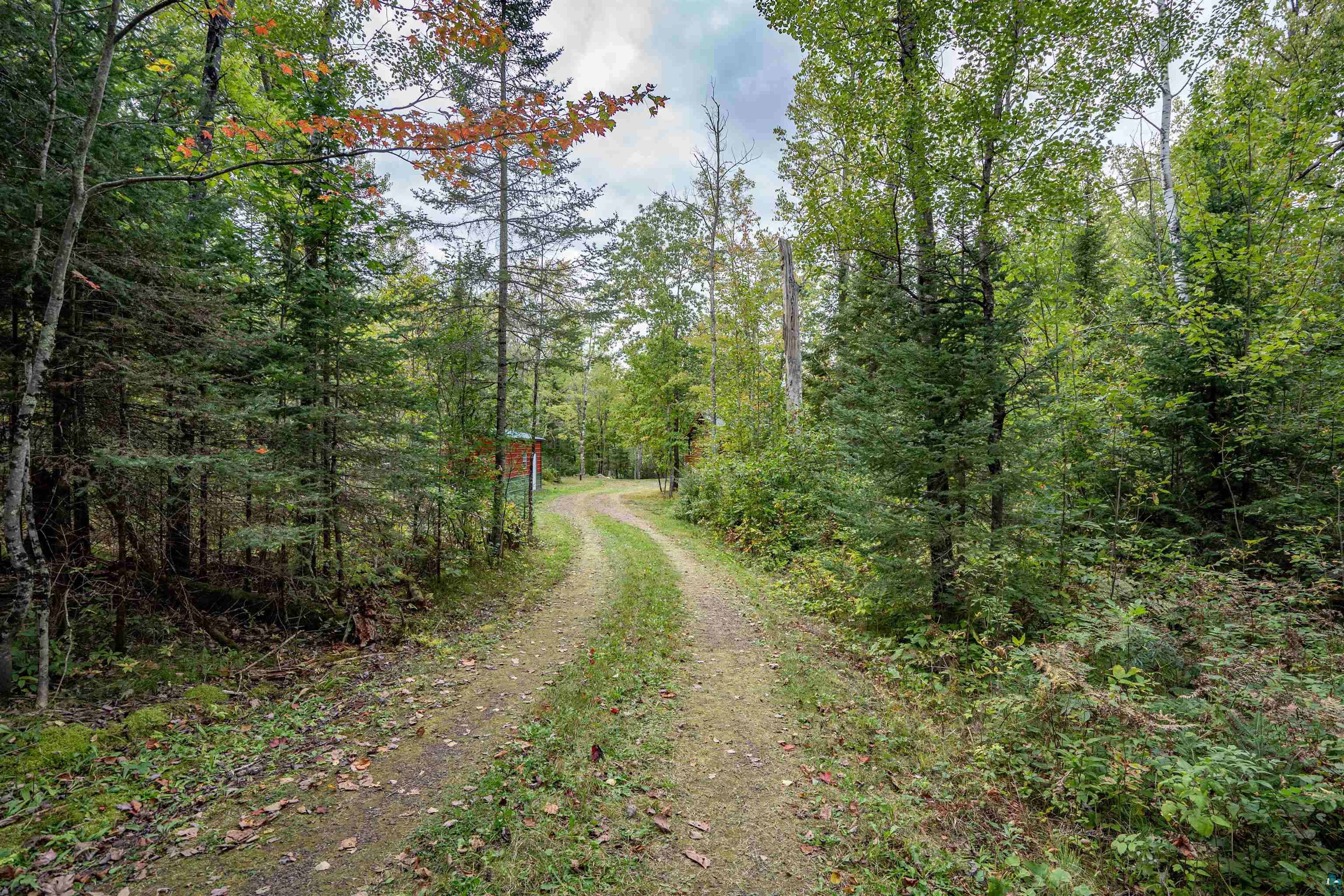 6711 South Jem Lane Lake Nebagamon, WI 54849 - Photo 24 of 28 View of road