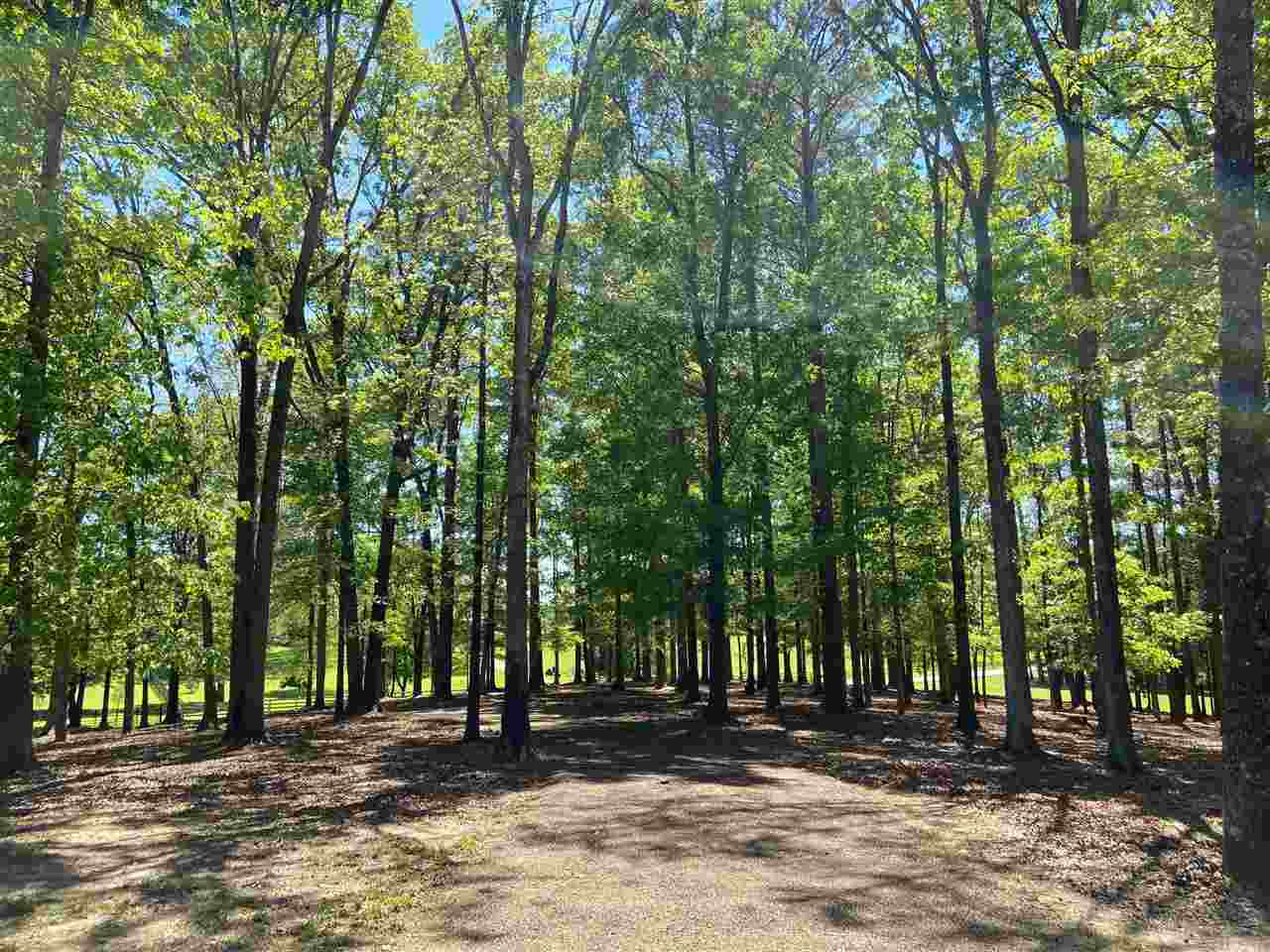 East Franklin Street Carthage, MS 39051 - Photo 14 of 24 Photo 14