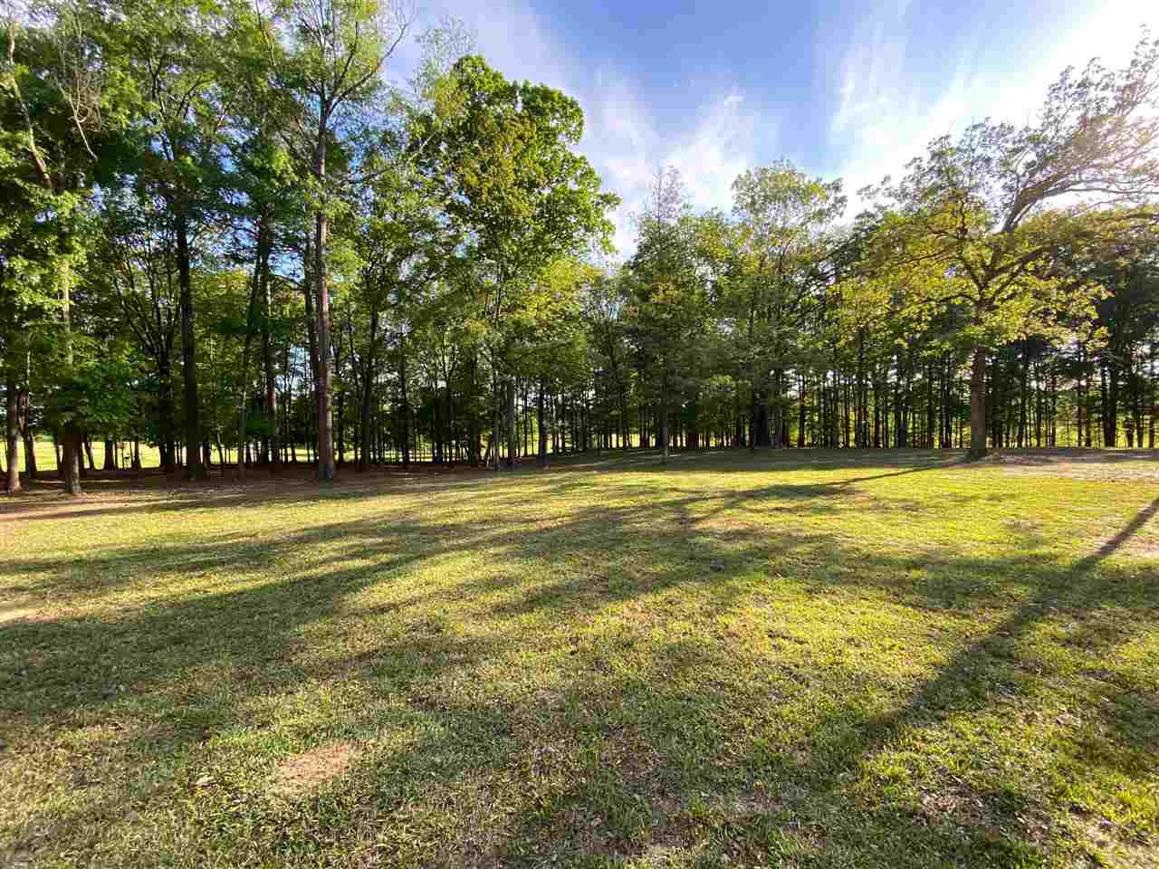 East Franklin Street Carthage, MS 39051 - Photo 19 of 24 Photo 21