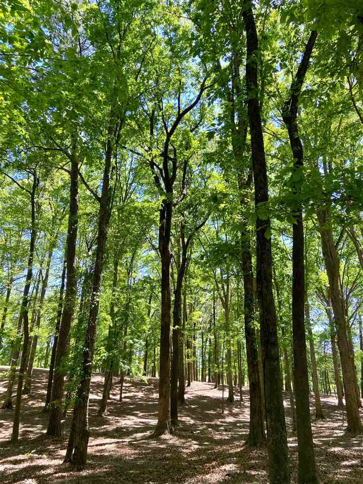 East Franklin Street Carthage, MS 39051 - Photo 23 of 24 Photo 26