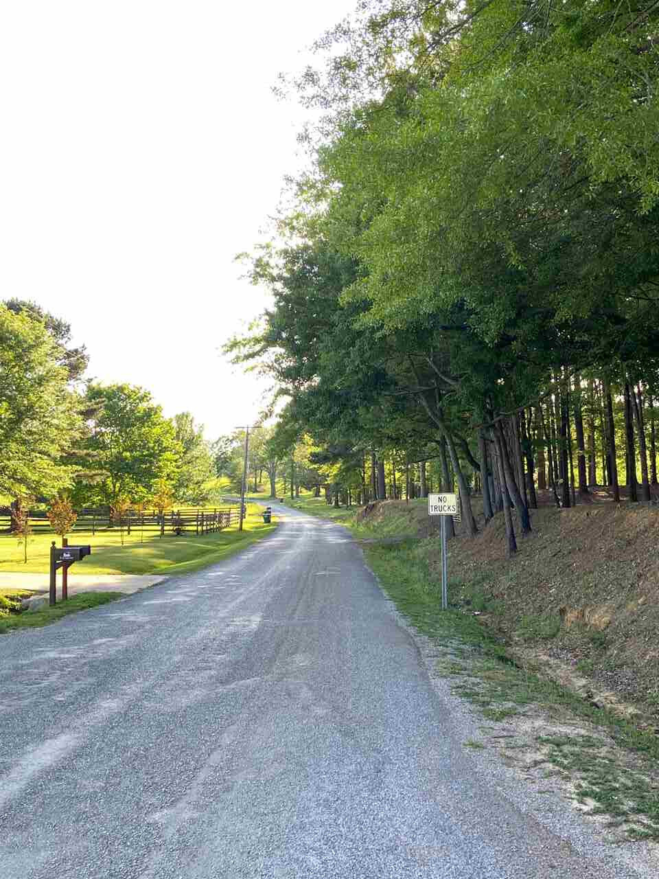 East Franklin Street Carthage, MS 39051 - Photo 3 of 24 Photo 3