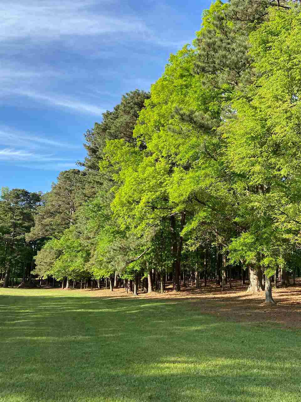 East Franklin Street Carthage, MS 39051 - Photo 4 of 24 Photo 4