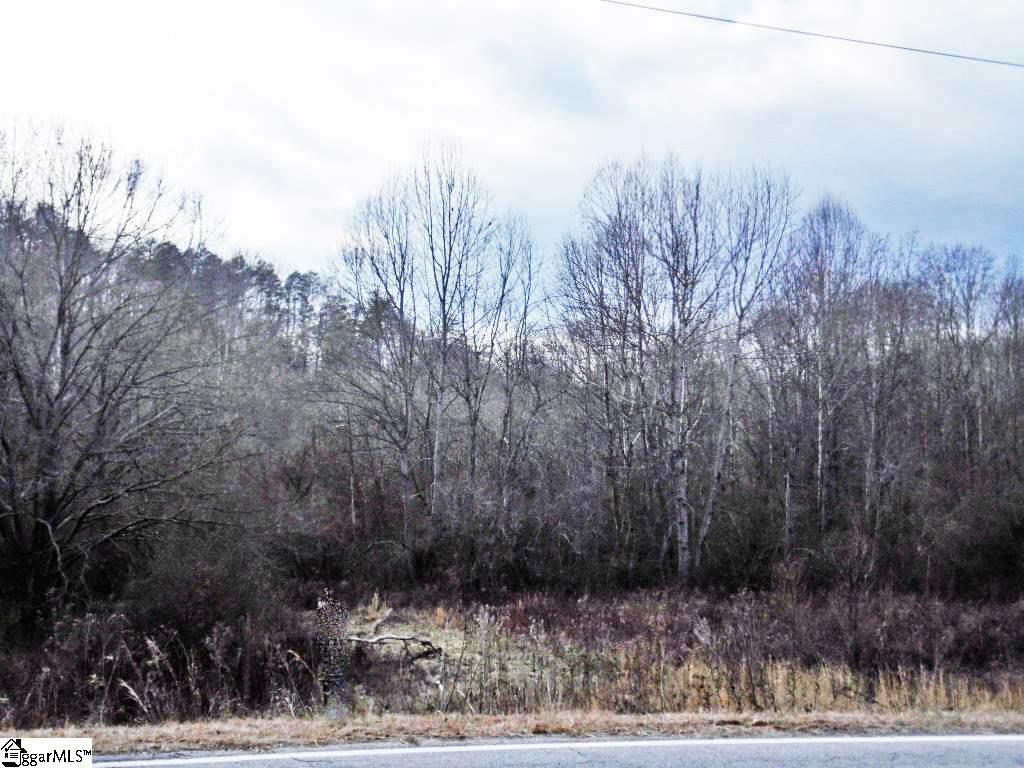 0 Pace Bridge Road Marietta, SC 29661 - Photo 2 of 5