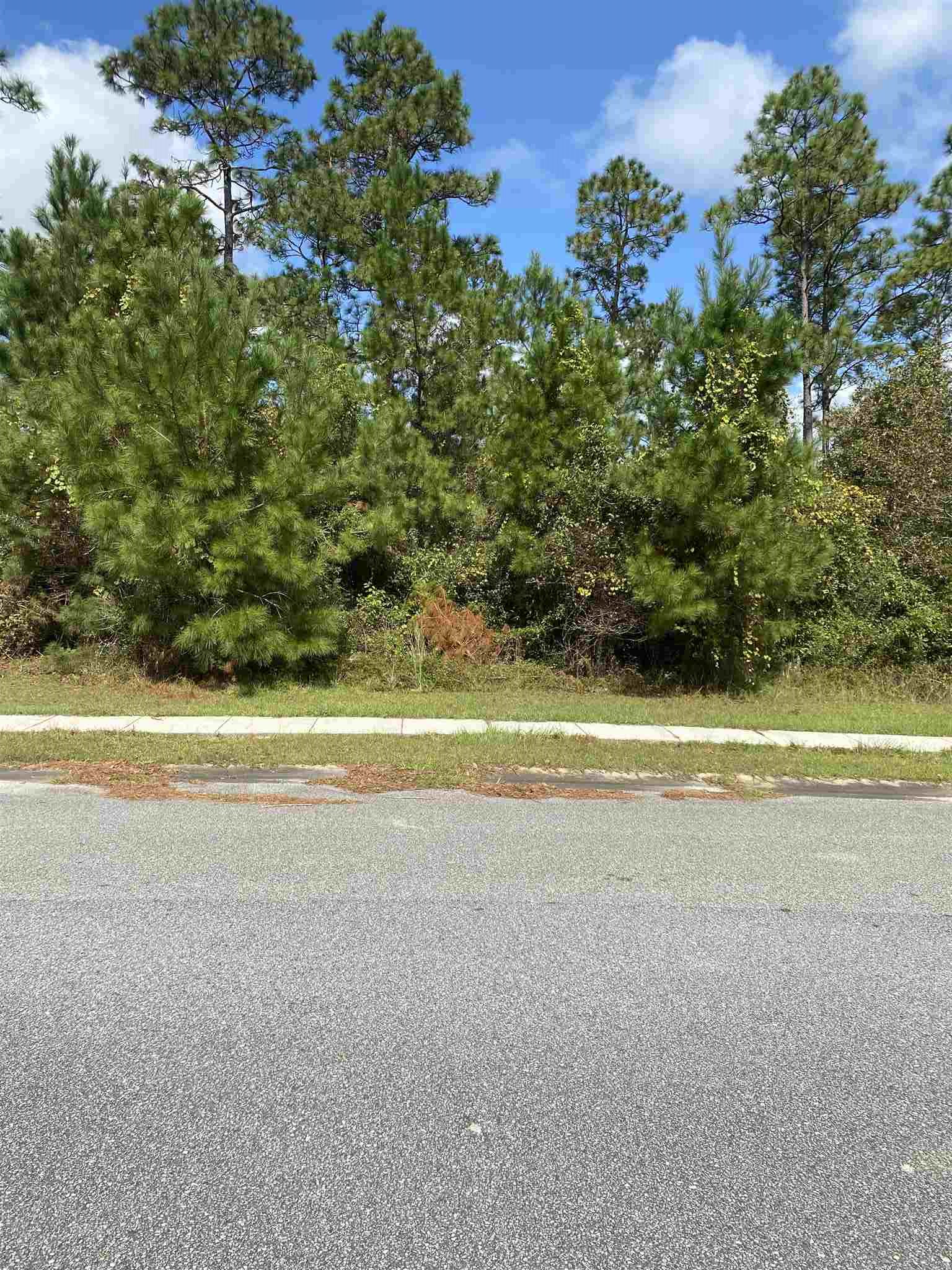 2 Butterfly Circle Daphne, AL 36527 - Photo 1 of 2 Road Frontage