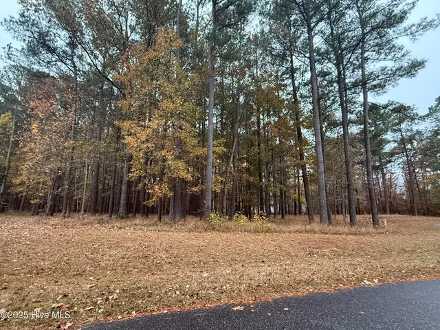 $50,000 | 13 Mattaponi Drive, Hertford, NC 27944