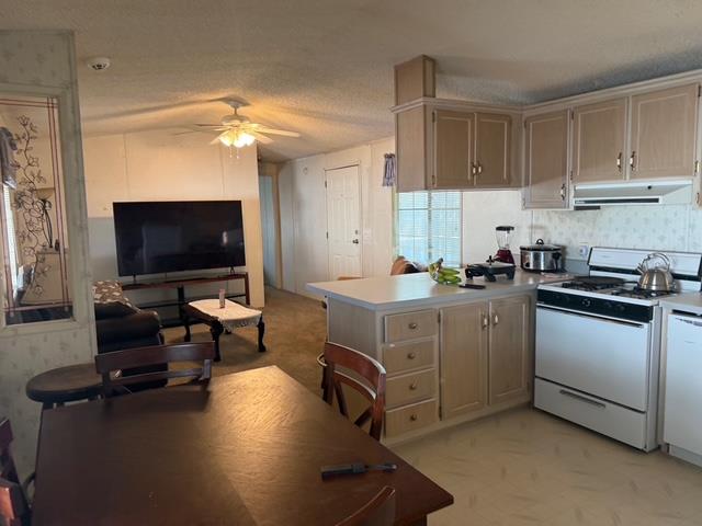 2500 Highway 59, Unit 270 Merced, CA 95348 - Photo 2 of 14 a kitchen with cabinets a sink and appliances