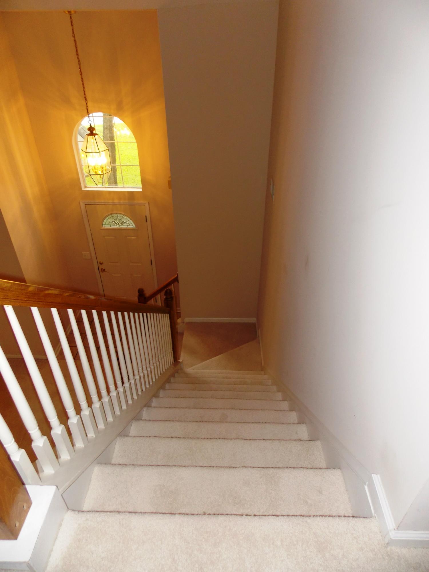 331 Fern House Walk Mount Pleasant, SC 29464 - Photo 25 of 39 331 Fern House Walk