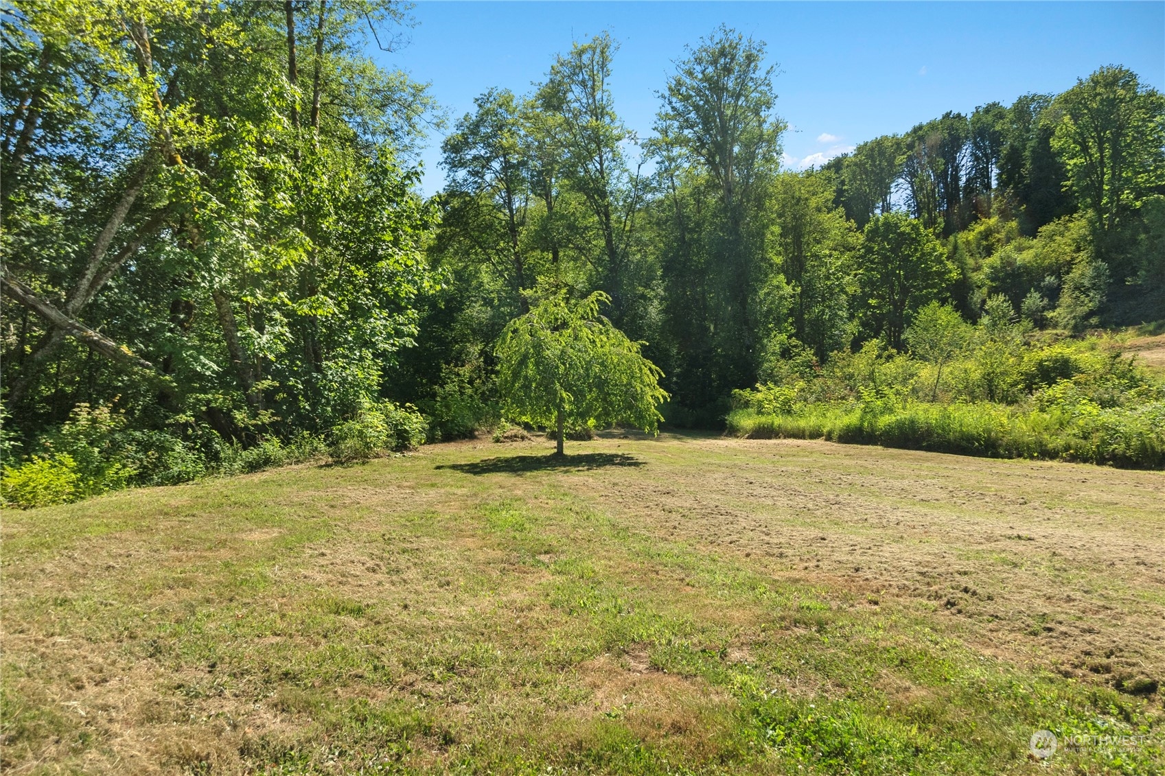 4081 West Beeville Road Matlock, WA 98560 - Photo 8 of 11 Gallery Image 8