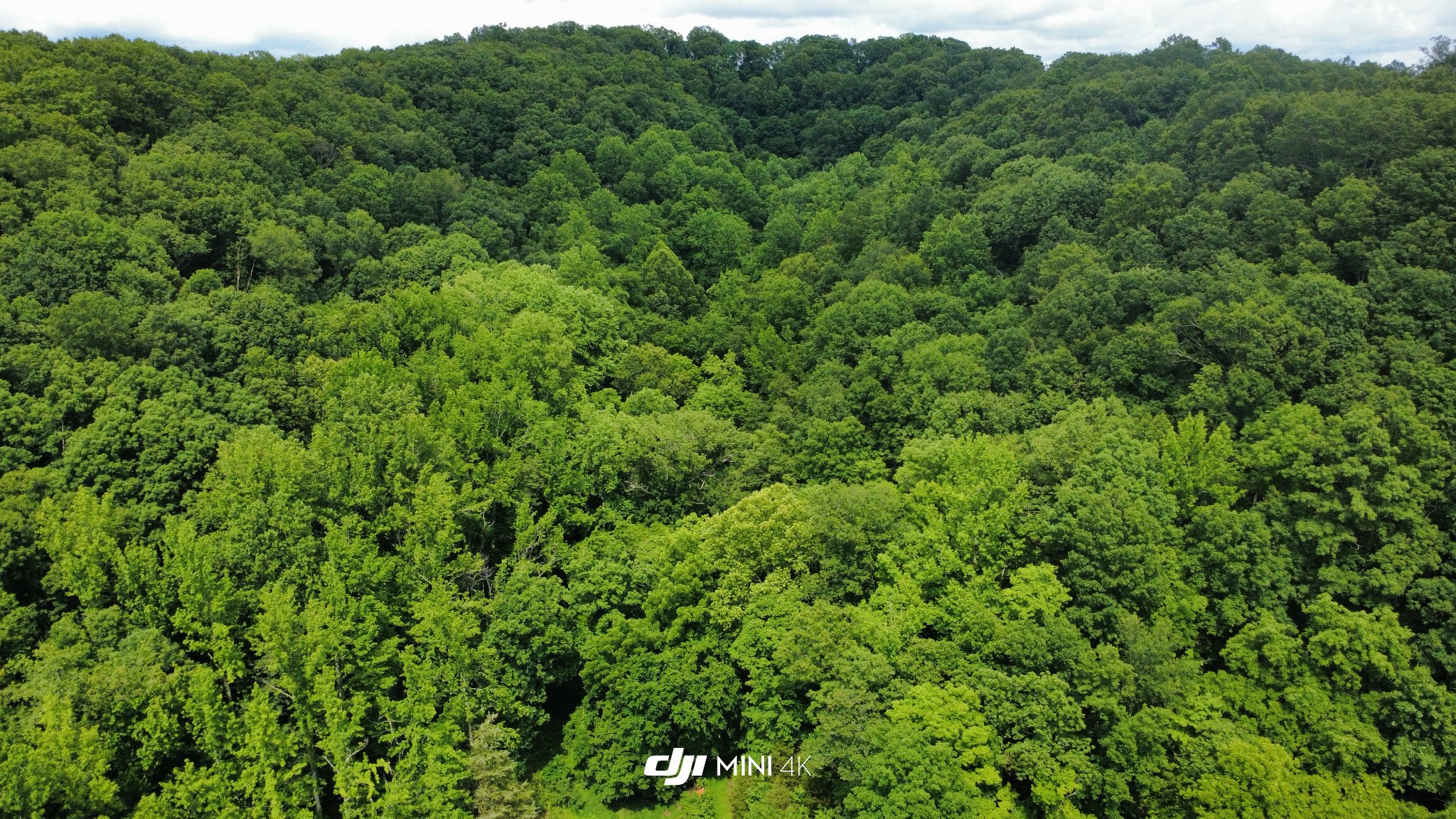 4998 Tranham Road Whites Creek, TN 37189 - Photo 3 of 5