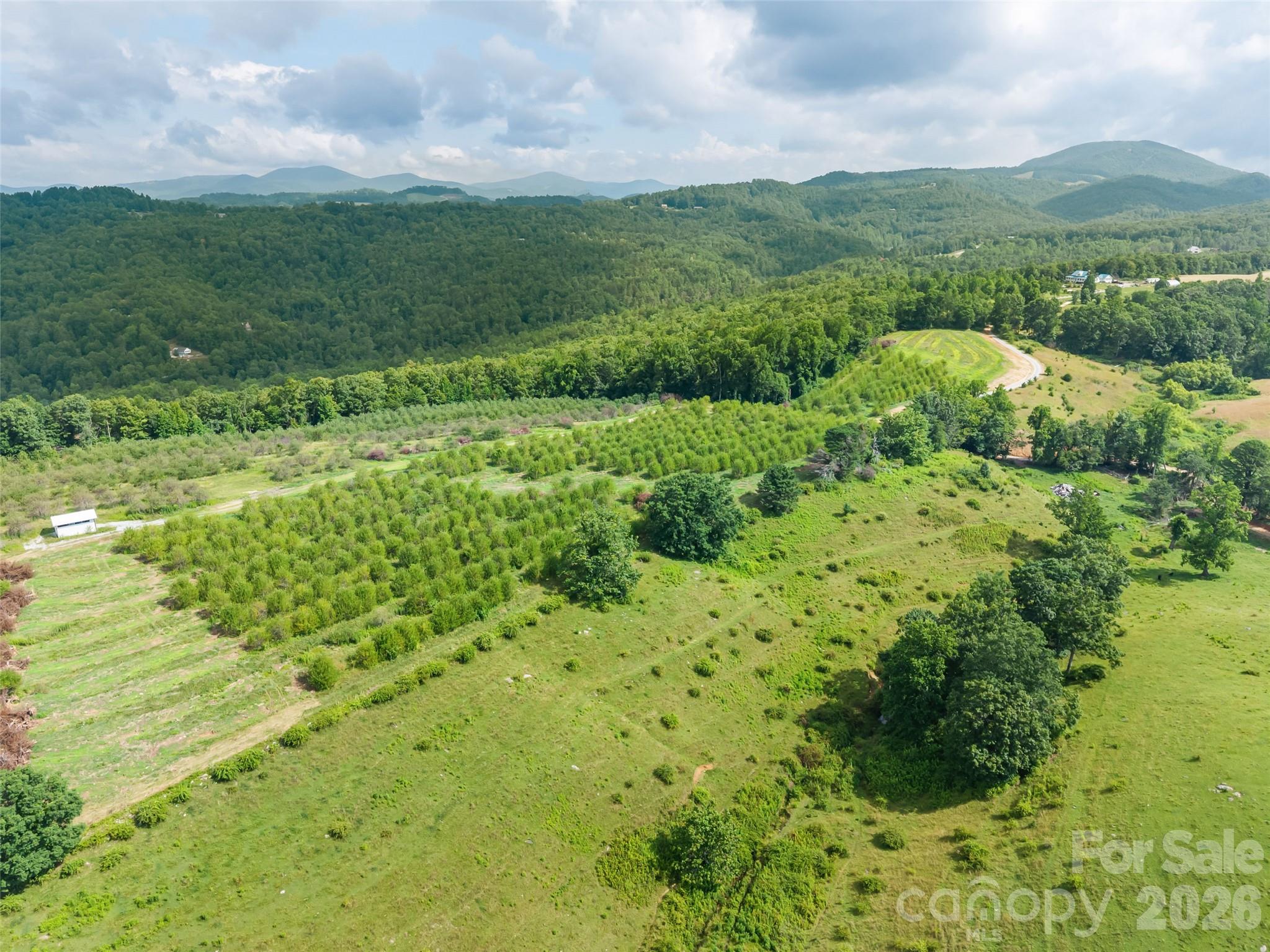 0 Summer Road, Unit 2 Hendersonville, NC 28792 - Photo 2 of 16
